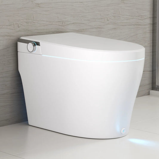 Toilette intelligente ANAHOLA